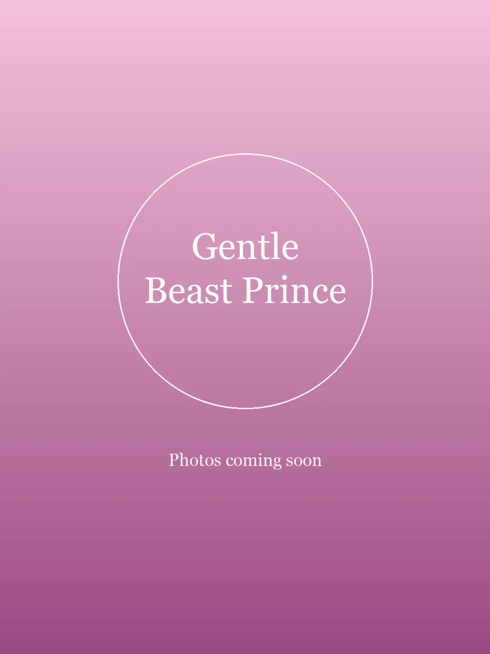 Gentle Beast Prince party character in Jacksonville