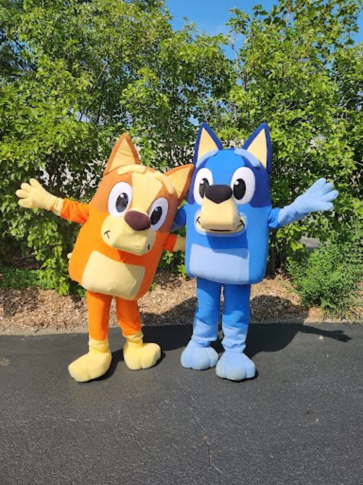 Blue Heeler Pup party character in Jacksonville