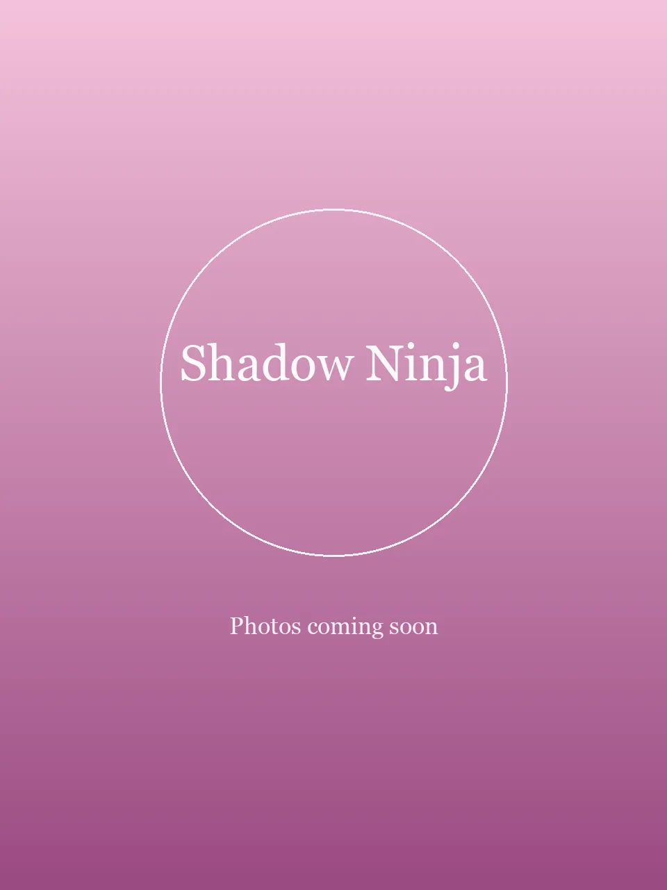 Shadow Ninja party character photo 2