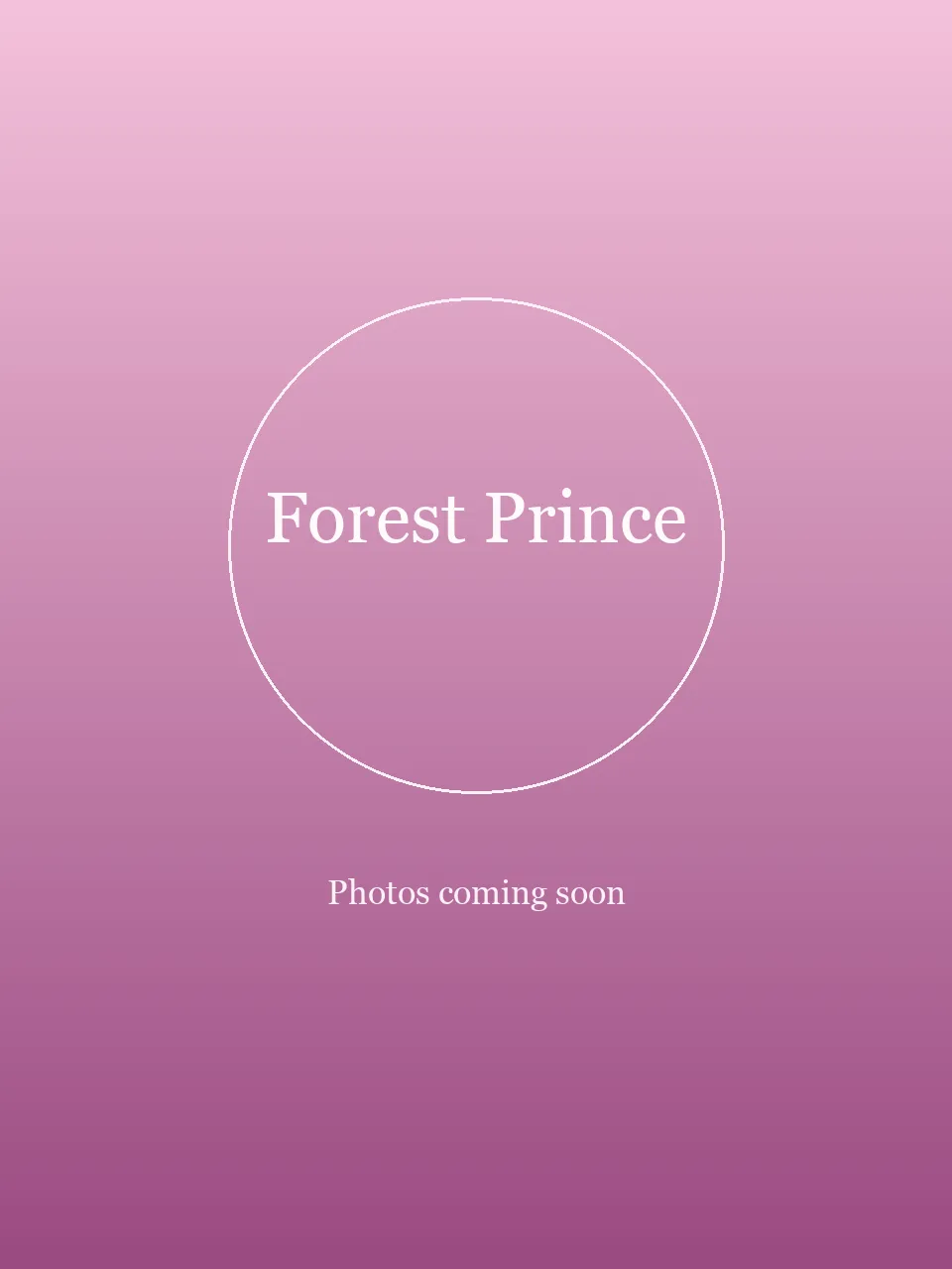 Forest Prince party character in Jacksonville