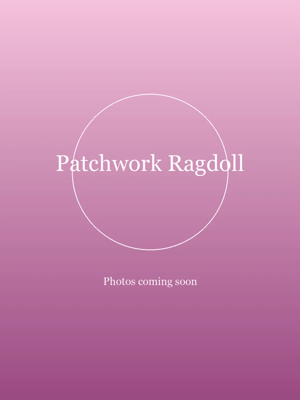 Patchwork Ragdoll party character photo 1